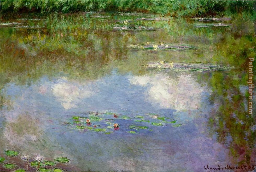 Water Lilies 1903 painting - Claude Monet Water Lilies 1903 art painting